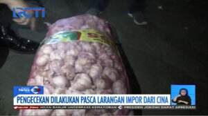 Pencegahan Virus Korona, 20 Ton Bawang Putih Asal Cina Diamankan Petugas