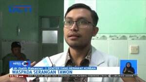 Puluhan Tawon Vespa Serang Sepasang Suami Istri Hingga Terbaring di RS