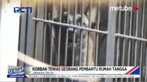 ART Tewas Digigit Anjing