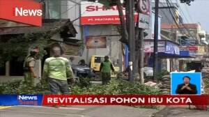 Revitalisasi Pohon Ibukota, Dinas Kehutanan DKI Jakarta Tebang Puluhan Pohon