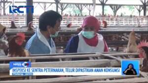 Gubernur Jatim Inspeksi Peternakan Ayam Memastikan Telur Aman