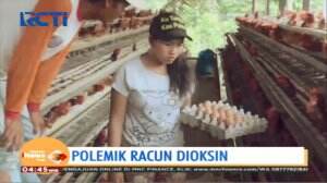 Polemik Racun Dioksin, Gubernur Jawa Timur Menjamin Telur dari Jawa Timur Aman Dikonsumsi