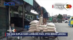 Stok Langka, Harga Beras Naik