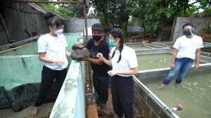 Berkeliling di Tambak Ikan Lele - HSB Eps. 96