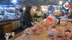 Harga Daging Ayam Meroket
