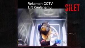 Viral! Seorang Wanita Jatuh di Lift Bandara