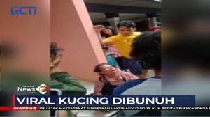 Viral Seorang Wanita di Kalideres Membunuh Kucing