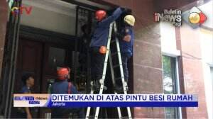 Evakuasi Ular Sanca Kembang 4 Meter