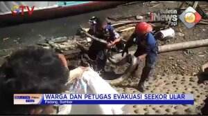 Ular Piton Di Perahu Nelayan