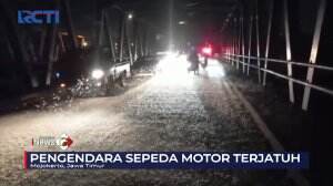 Jutaan Serangga Serbu Jalan Raya