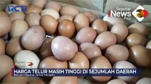 Harga Telur Masih Tinggi