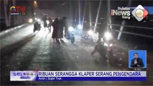 Ribuan Serangga Klaper Serang Pengendara
