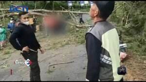 Pemotor Tewas Tertimpa Pohon Tumbang