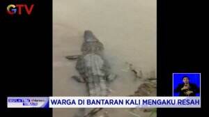 43 Ekor Buaya Lepas Dari Penangkaran di Bogor