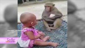 Viral Kocaknya Kelakuan Manusia Dengan Hewan