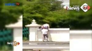 Bule Panjat Pagar Candi Prambanan
