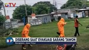 Petugas Damkar Diserang Tawon