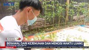 Pelajar SMU Bangun Kebun Sayur Hidroponik