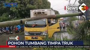 Pohon Tumbang Timpa Truk