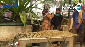 Libur Lebaran Di Taman Buaya
