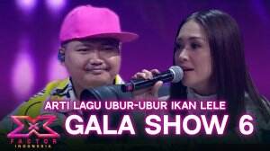 Arti Lagu Ubur-Ubur Ikan Lele