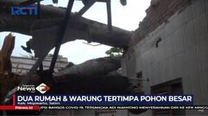 Hujan Deras Dan Angin Kencang Mengakibatkan 2 Rumah Dan Warung Tertimpa Pohon Besar