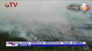 Kebakaran Hutan Dan Lahan Terus Meluas