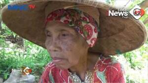 Nenek Pemecah Batu