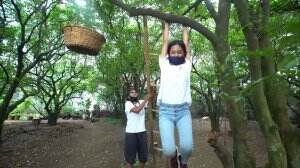 Ditabrak Kambing Shelly Sampai Gelantungan di Pohon - HSB Eps. 80