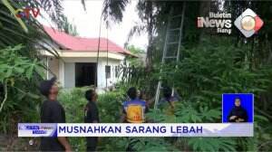 Musnahkan Sarang Lebah