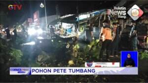 Pohon Pete Tumbang