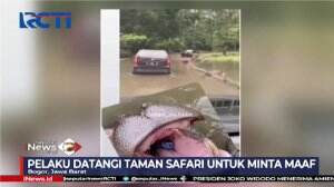 Video Viral Pengunjung Lempar Sampah Ke Kuda Nil