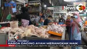Harga Daging Ayam Mulai Naik