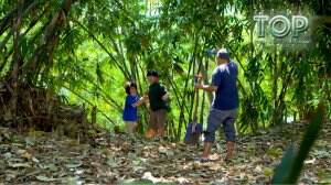 Mencari Harta Karun? - TOP Eps. 3069 - 3070