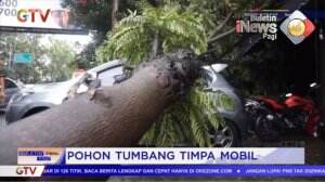 Pohon Tumbang Timpa Mobil