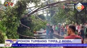 Pohon Tumbang Timpa 2 Mobil