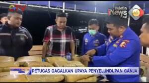 Peredaran Ganja Antarpulau