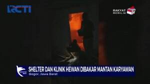 Sakit Hati, Pria Bakar Shelter Kucing