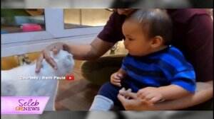 Kiano Gemas Lihat Kucing Rafathar