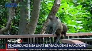 Ekowisata Mangrove Di Jakarta
