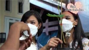 Cara Menanam Tanaman Buah Anggur - HSB Eps. 137