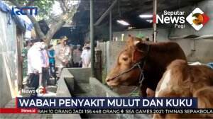Wabah Penyakit Mulut Dan Kuku Kian Meresahkan