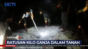 Ratusan Kilo Ganja Ditemukan Terkubur Dalam Tanah