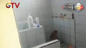 Bekantan Masuk Ke Dalam Rumah Warga Di Tarakan, Kalut