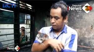 Wanita Menangs, Tiga Kucing Mati Terbakar