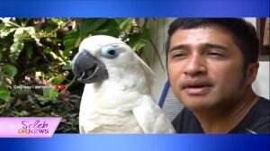 Irfan Hakim Beli Burung Langka Kakatua Mata Biru