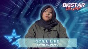 Still Life Cover By Poppy