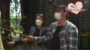 Fakta Menarik Jerapah - HSB Eps. 142