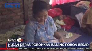 Bayi Selamat Dari Runtuhan Pohon Roboh