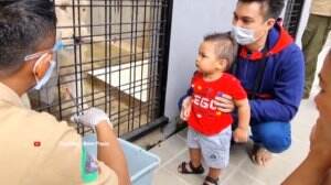 Kiano Kasih Makan Hewan Buas